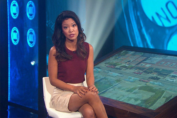 Michelle Malkin's net worth