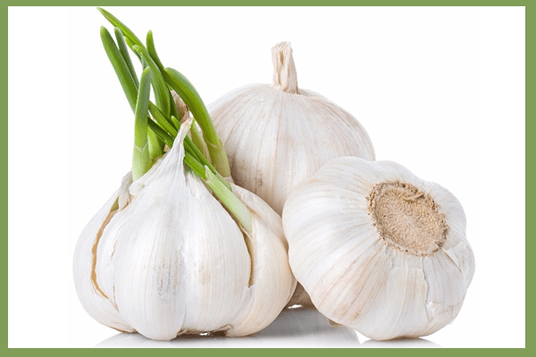 Use Garlic for Natural treatment