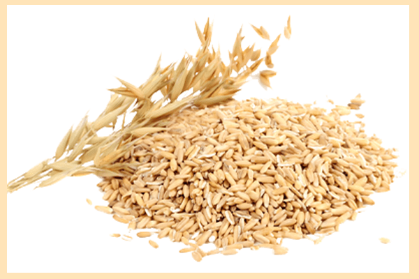 Oats are the best natural remedy for cutting down the cholesterol