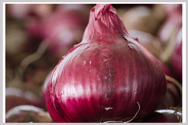 Onion for head lice