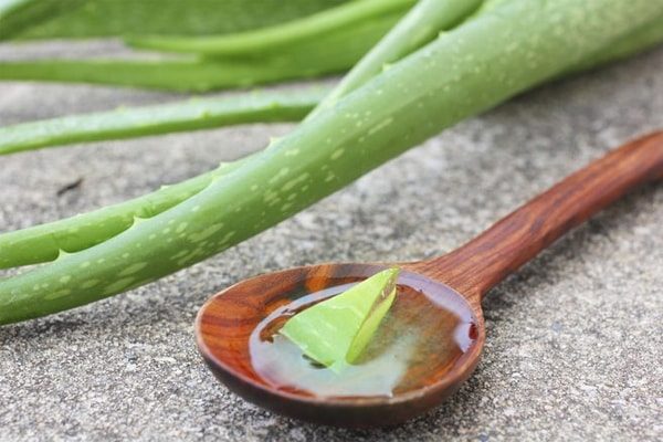 Aloe Vera Gel, Bay Leaves, Turmeric, and Buttermilk to cure Diabetes At Home