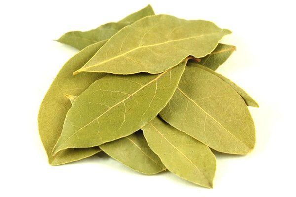 bay-leaf