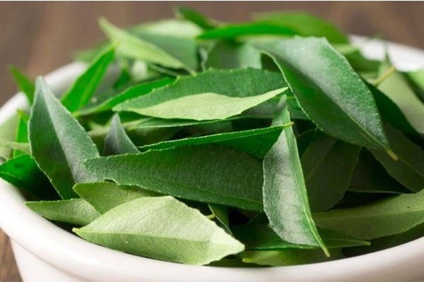 Curry Leaves to cure Diabetes At Home