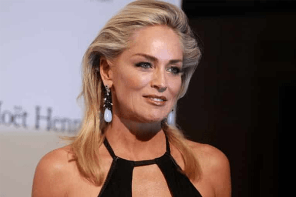 Sharon Stone Roles, Net worth, Background, Career, Appearance, Awards and Recognition