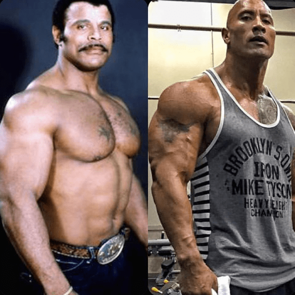 Dwayne Johnson movies