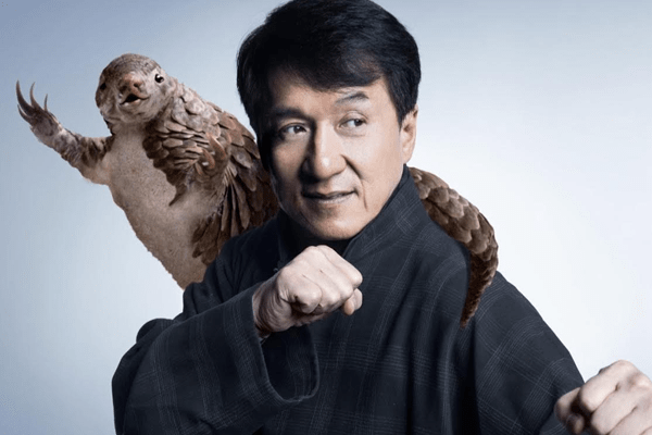 Jackie Chan's movies. net worth