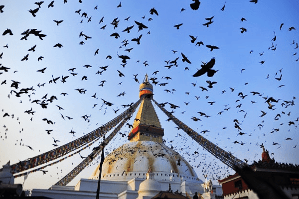 Best Travel Images of 2018 Boudhanath Stupa Kathmandu