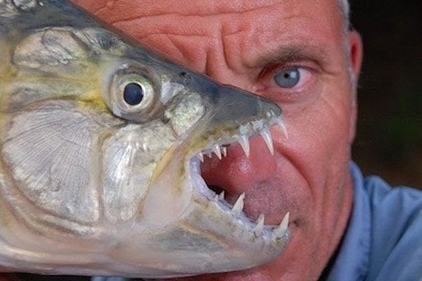 Jeremy Wade relationship and net worth earnings