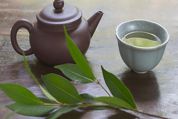 Green Tea - Good for Diabetic
