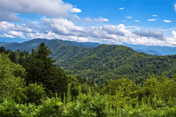 North Carolina — Great Smoky Mountains