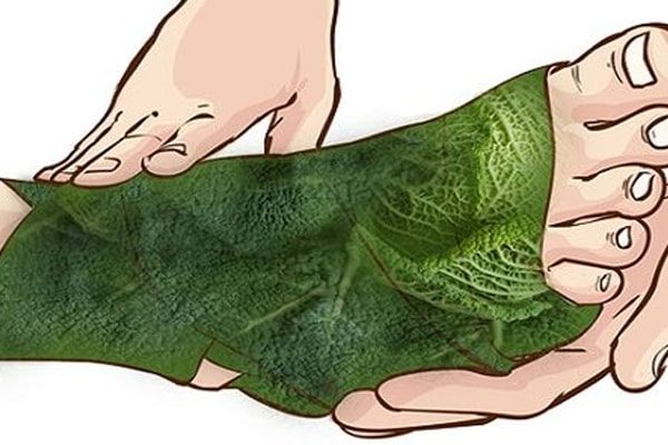 Covering Your Feet with Cabbage