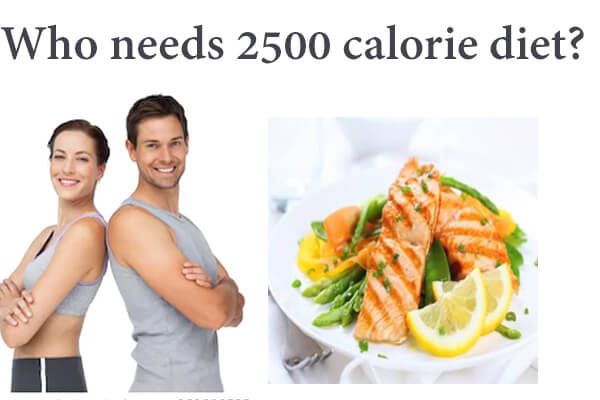 2500 calorie diet