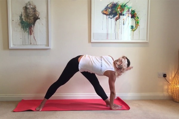 Revolved Triangle Pose (Parivrtta Trikonasana)