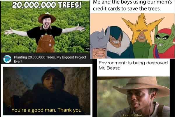 MrBeast and Teamtrees meme