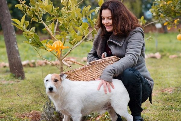 Colm Meaney's wife Ines Glorian's bio